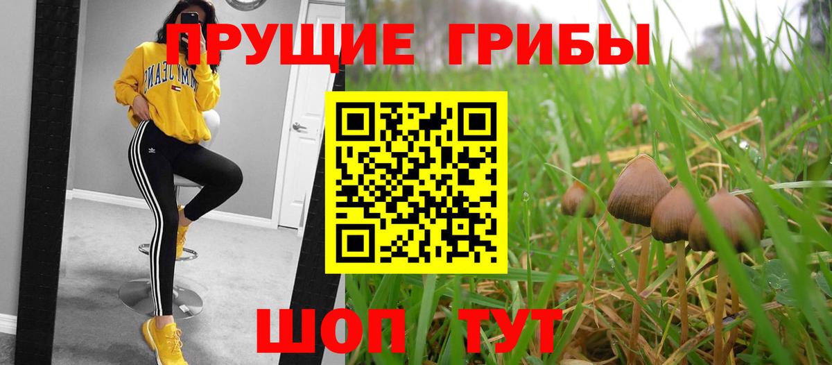 Псилоцибиновые грибы Magic Shrooms  где найти   Еманжелинск  Вход с VPN  Псилоцибиновые грибы GOLDEN TEACHER 